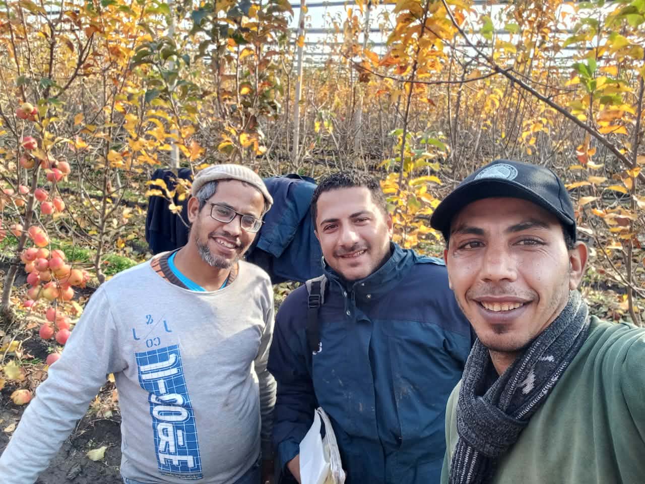 مجموعة من العمال المصريين داخل مزرعة بعد انتهاء العمل